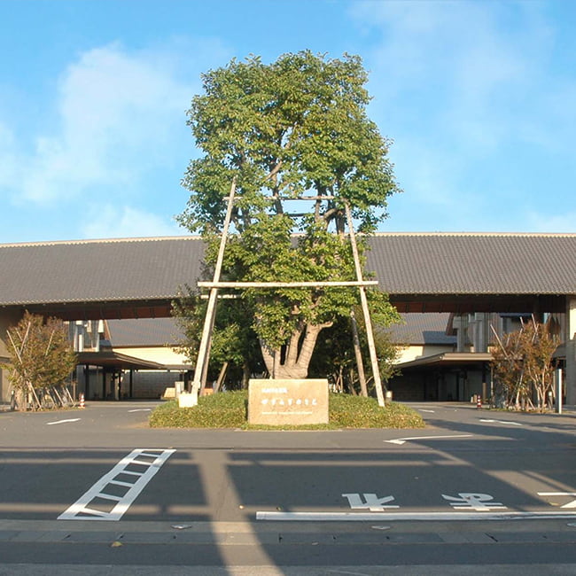 川越 やすらぎ コレクション の 里 ペット