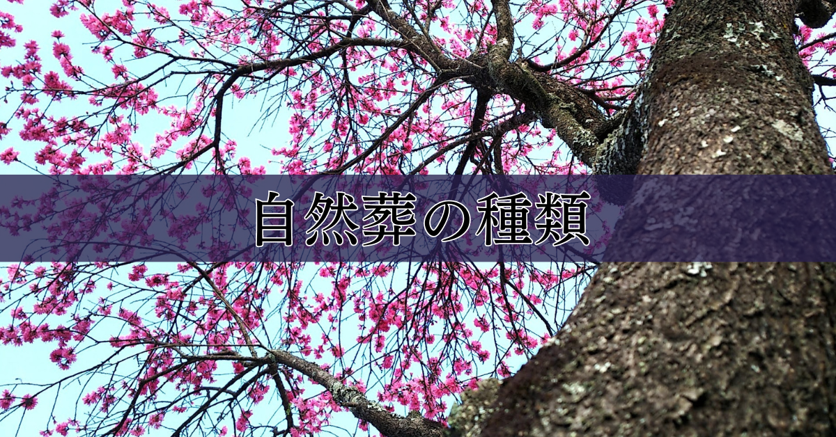 自然葬とは?種類、費用、デメリット、環境への優しさについて|埼玉の葬儀・葬式ならさがみ典礼