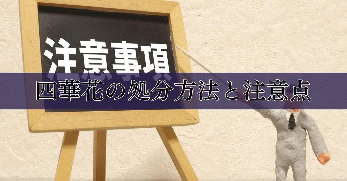 四華花の処分方法と注意点