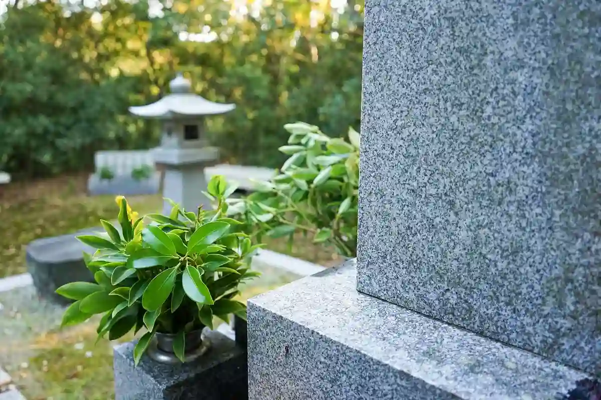樒（しきみ・しきび）とは？榊との違い・役割・購入できる場所を初心者向けに解説
