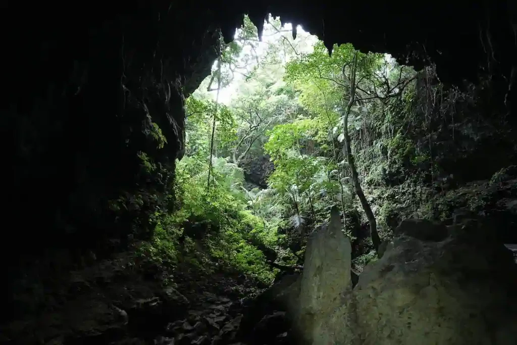 風葬（ふうそう）とは？ 自然に還る究極の葬儀