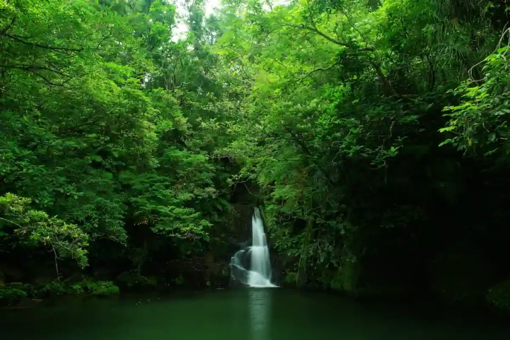 沖縄と風葬（ふうそう）-沖縄の伝統と自然との調和-