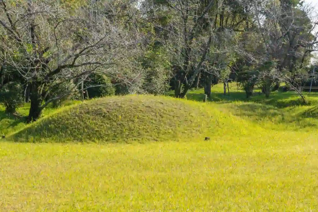 日本での土葬について: 法律、メリットデメリット