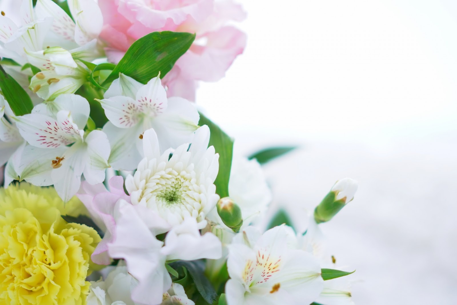 【上尾市】安い葬儀を目指せる4つの方法と失敗しない葬儀社の選び方