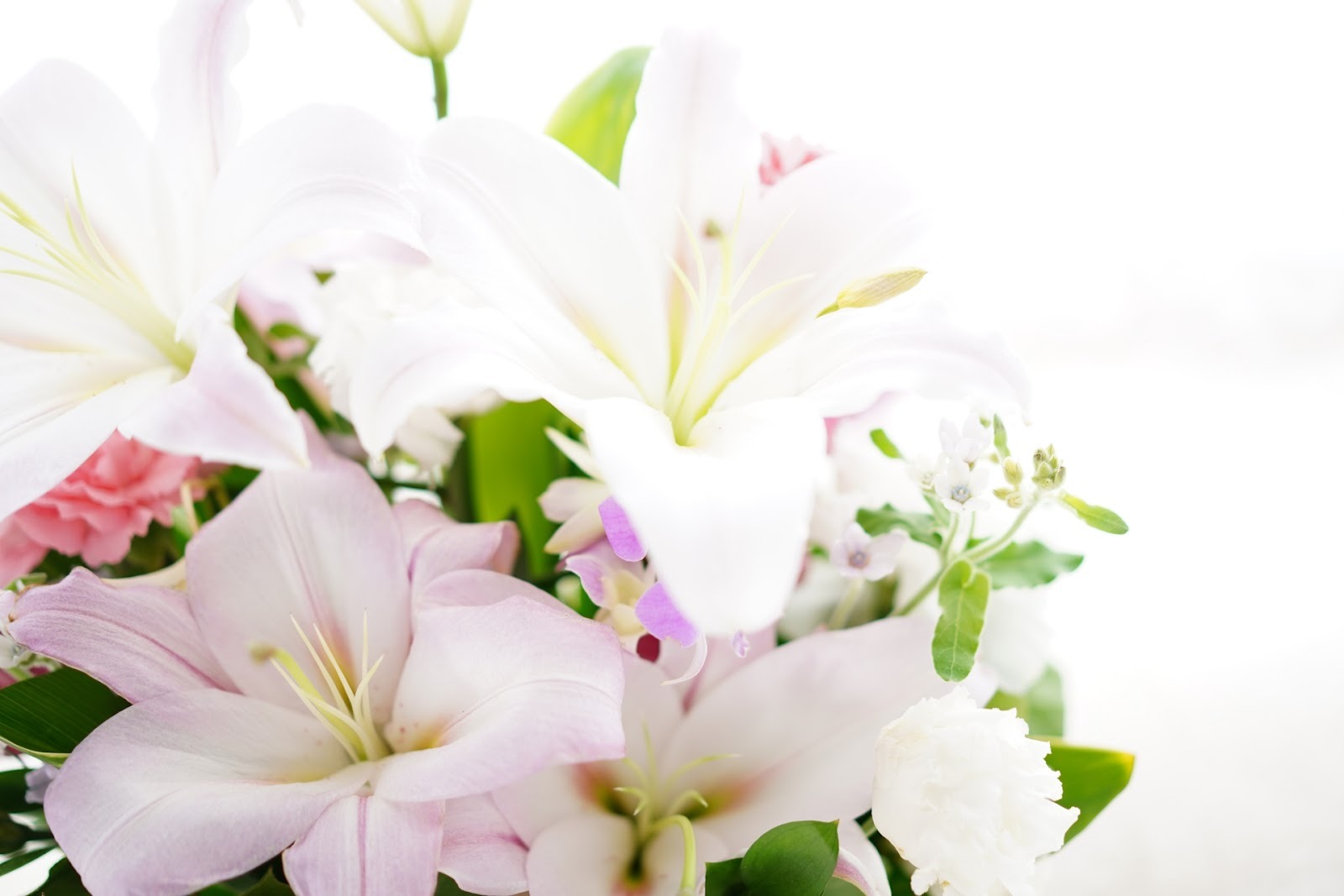 熊谷市で安い価格で葬儀を行う｜公的な補助と費用負担を抑える葬儀形式を解説