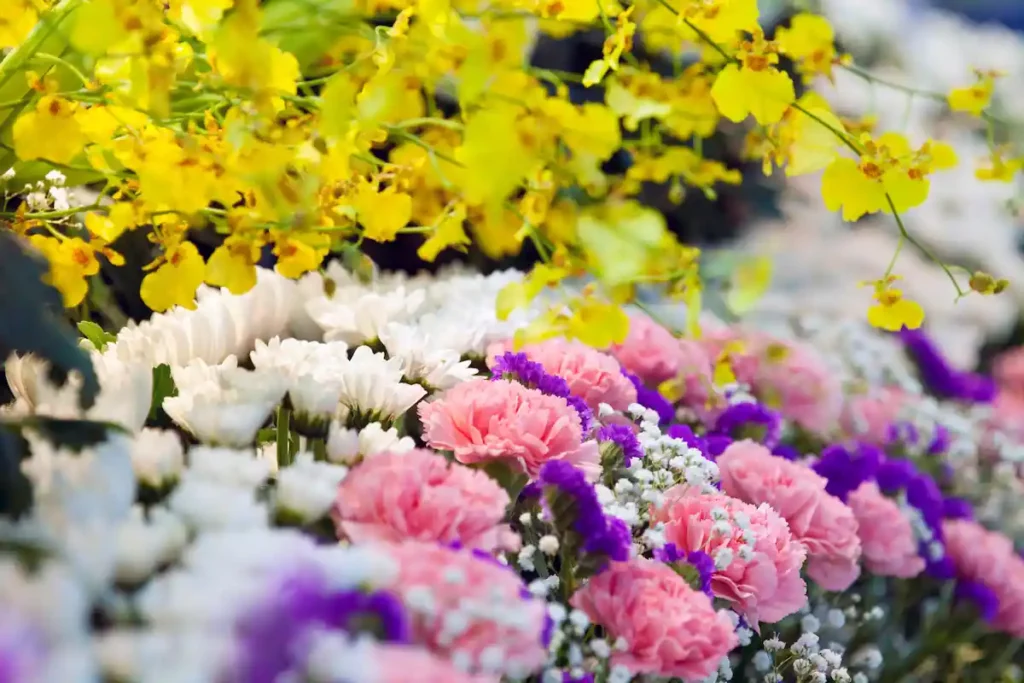 骨葬（こつそう）に関するよくあるご質問