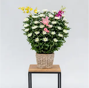 生花1基［19,800円（税込）］